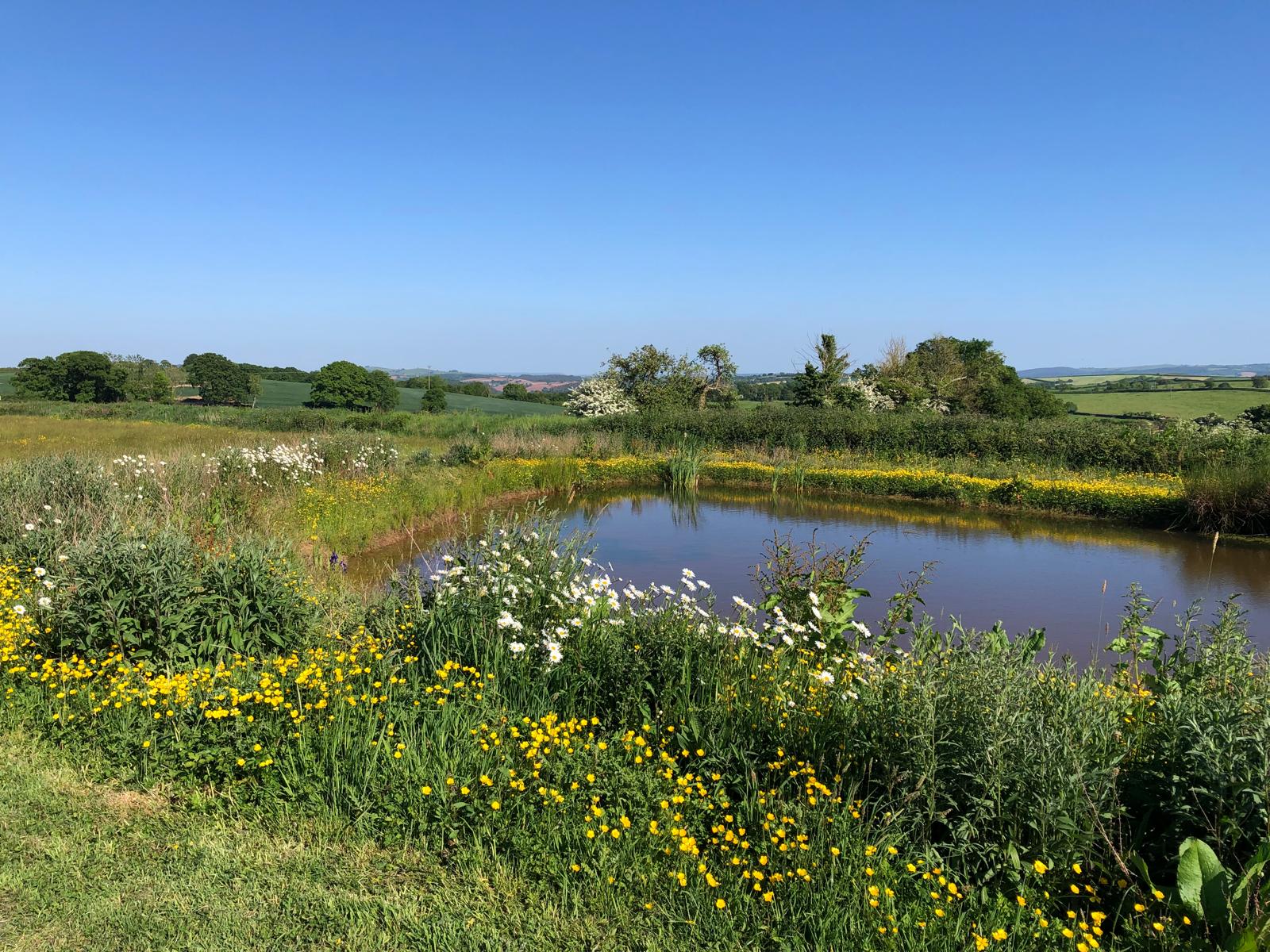 Moor View Retreat (Views): countryside and sky