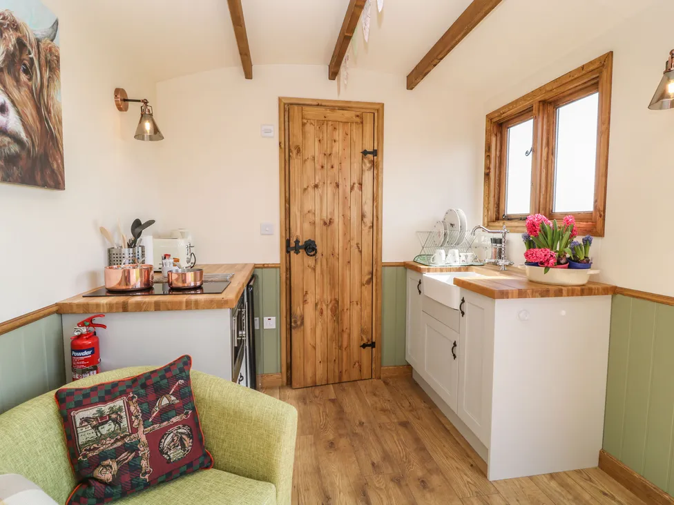 Tawny (Interior): living space