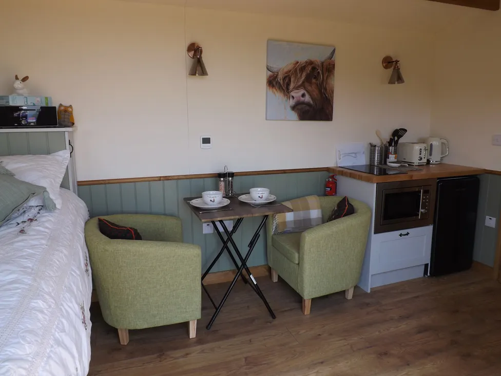 Tawny (Interior): living space